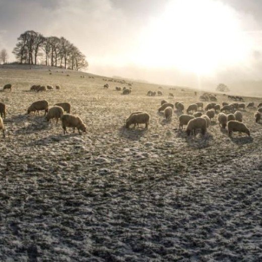 Camping im zauberhaften Herbst