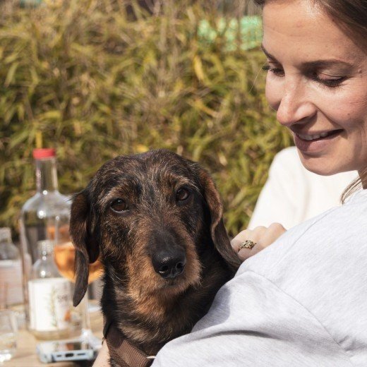 Südlimburg im Frühling